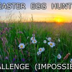 Easter egg hunt (impossible) | EASTER  EGG  HUNT; CHALLENGE  (IMPOSSIBLE) | image tagged in sunrise meadow,easter,easter egg hunt,easter eggs,easter egg,challenge impossible | made w/ Imgflip meme maker