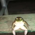 Frog think GIF Template