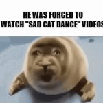 The meme's name might sound innocent, but knowing how the internet works, it's not | HE WAS FORCED TO WATCH "SAD CAT DANCE" VIDEOS | image tagged in gifs,memes,sad cat,dance,please kill me,end my suffering | made w/ Imgflip video-to-gif maker