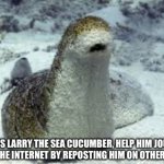 Larry the sea cucumber meme