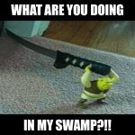 What are you doing in my swamp?!! | WHAT ARE YOU DOING; IN MY SWAMP?!! | image tagged in shrek has found your actions punishable by death,shrek what are you doing in my swamp,get out of my swamp,shrek | made w/ Imgflip meme maker