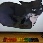 autism cat maxwell Meme Template