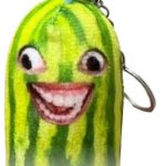 Shein’s nightmare fuel pickle. template