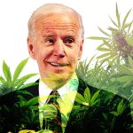 Biden Weed
