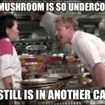 Mario Gordon ramsay | THIS MUSHROOM IS SO UNDERCOOKED; IT’S STILL IS IN ANOTHER CASTLE | image tagged in memes,angry chef gordon ramsay,gordon ramsey,chef gordon ramsay | made w/ Imgflip meme maker