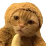 monkeycat