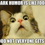 DARK HUMOR | DARK HUMOR IS LIKE FOOD; FOOD NOT EVERYONE GETS IT | image tagged in memes,scared cat | made w/ Imgflip meme maker