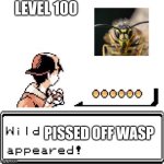 Blank Wild Pokemon Appears | LEVEL 100; PISSED OFF WASP | image tagged in blank wild pokemon appears | made w/ Imgflip meme maker