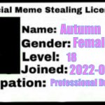 Autumn’s Meme Stealing License