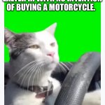 Exeter | ME DRIVING HOME FROM EXETER RI WITH NO INTENTION OF BUYING A MOTORCYCLE. | image tagged in cat driving | made w/ Imgflip meme maker