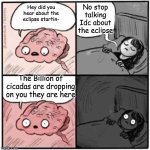 Search it up | No stop talking Idc about the eclipse; Hey did you hear about the eclipse startin-; The Billion of cicadas are dropping on you they are here | image tagged in brain before sleep,please text | made w/ Imgflip meme maker