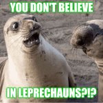 Who doesn't think leprechauns aren't real? | YOU DON'T BELIEVE; IN LEPRECHAUNS?!? | image tagged in shocked seal,memes,leprechaun,shook,ireland,surprised | made w/ Imgflip meme maker