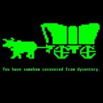 Miraculous Recovery | You have somehow recovered from dysentery. | image tagged in oregon trail,phoenix,resurrection,miracle,zombie,dysentery | made w/ Imgflip meme maker