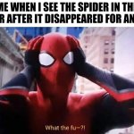 NOOOOOOOO I THOUGHT IT WAS GONEEEEEEE | ME WHEN I SEE THE SPIDER IN THE CORNER AFTER IT DISAPPEARED FOR AN HOUR: | image tagged in spider-man confused | made w/ Imgflip meme maker