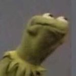 Kermit stare