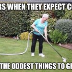 Boomers getting the house ready for company | BOOMERS WHEN THEY EXPECT COMPANY; WILL DO THE ODDEST THINGS TO GET READY | image tagged in grandma vacuuming yard,boomers,baby boomers,cleaning,chores,company | made w/ Imgflip meme maker