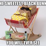 The sweetest beach bunny | THE SWEETEST BEACH BUNNY; YOU WILL EVER SEE | image tagged in peeps,candy,beach,beach babe,beach body,bunny | made w/ Imgflip meme maker