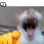 lmaoooooo heck nooooooo | MY MOM TELLS ME TO READ A BOOK; ME: | image tagged in cat pointing and laughing,cat,cats,memes,lmao,book | made w/ Imgflip meme maker