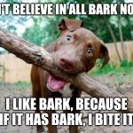 dog stick | I DON'T BELIEVE IN ALL BARK NO BITE; I LIKE BARK, BECAUSE IF IT HAS BARK, I BITE IT | image tagged in dog stick | made w/ Imgflip meme maker