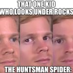 I was that weird kid... | THAT ONE KID WHO LOOKS UNDER ROCKS; THE HUNTSMAN SPIDER: | image tagged in fourth wall breaking white guy | made w/ Imgflip meme maker