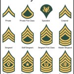 Military rankings basically template