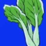 Bok Choy