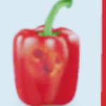 Bell Pepper template