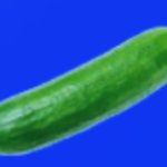 Cucumber