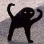Black Cat Meme template