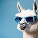 Llama