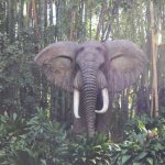Jungle Cruise African Elephant