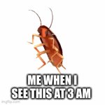 Calling a dance roach at 3 am!! (GONE WRONG) | ME WHEN I SEE THIS AT 3 AM | image tagged in gifs,fun | made w/ Imgflip video-to-gif maker