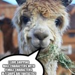 Even Llamas love M/F ships | I LOVE SHIPPING MALE CHARACTERS WITH FEMALE CHARACTERS. M/F SHIPS ARE FANTASTIC! | image tagged in happy llama | made w/ Imgflip meme maker