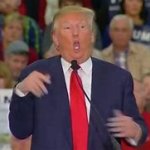 Trump Makes Fun of Handicapped People