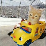 Cat in a toy sports car