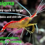 Behapps shrimp temp by skibble meme