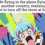 OHHH NOOOOOO!!! | Me flying in the plane flying to another country, realizing I forgot to turn off the stove at home: | image tagged in funny,forgot,stove | made w/ Imgflip meme maker