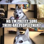 Silly pun I saw online, wanted to post here! | IS MONTANA "MT"; NO, I'M PRETTY SURE THERE ARE PEOPLE THERE! | image tagged in memes,bad pun dog,montana,puns | made w/ Imgflip meme maker