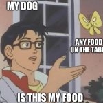 Dog logic | MY DOG; ANY FOOD ON THE TABLE; IS THIS MY FOOD | image tagged in is this butterfly | made w/ Imgflip meme maker
