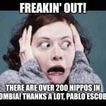 Pablo Escobar's hippos have great-grandchildren | FREAKIN' OUT! THERE ARE OVER 200 HIPPOS IN COLOMBIA! THANKS A LOT, PABLO ESCOBAR! | image tagged in big freak out,pablo escobar,hippopotamus,memes,narcos,private zoo | made w/ Imgflip meme maker