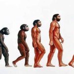 Quesadillas sin queso / Quesadillas con queso