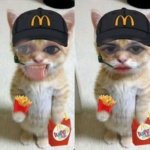 Silly vs Serious McDonalds Cat meme
