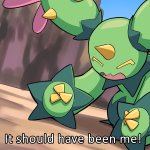 It should have been me maractus meme