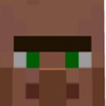 Villager Head