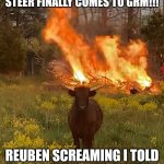 Fire Cow | WHEN THE REALLY CRAZY STEER FINALLY COMES TO GRM!!! REUBEN SCREAMING I TOLD YOU SO RYAN... ITS ALIVE!!!! | image tagged in fire cow | made w/ Imgflip meme maker