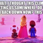 Super Mario Vista | WAIT, I THOUGHT THIS CLIMB WAS GETTING US SOMEWHERE. DO WE HAVE TO CLIMB BACK DOWN NOW? THIS IS DUMB. | image tagged in super mario vista | made w/ Imgflip meme maker