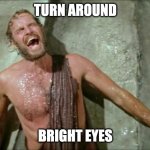 Planet of the Apes Charlton Heston | TURN AROUND; BRIGHT EYES | image tagged in planet of the apes charlton heston | made w/ Imgflip meme maker