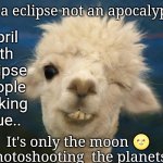alpaca | It's a eclipse not an apocalypse; April 8th eclipse people looking blue.. It's only the moon 🌝 Photoshooting  the planets | image tagged in alpaca | made w/ Imgflip meme maker