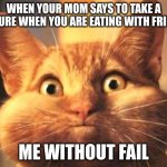 Having food in your mouth every time taking a picture | WHEN YOUR MOM SAYS TO TAKE A PICTURE WHEN YOU ARE EATING WITH FRIENDS; ME WITHOUT FAIL | image tagged in full mouth cat,funny memes | made w/ Imgflip meme maker