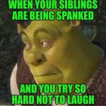 SMACK! | WHEN YOUR SIBLINGS ARE BEING SPANKED; AND YOU TRY SO HARD NOT TO LAUGH | image tagged in shrek | made w/ Imgflip meme maker